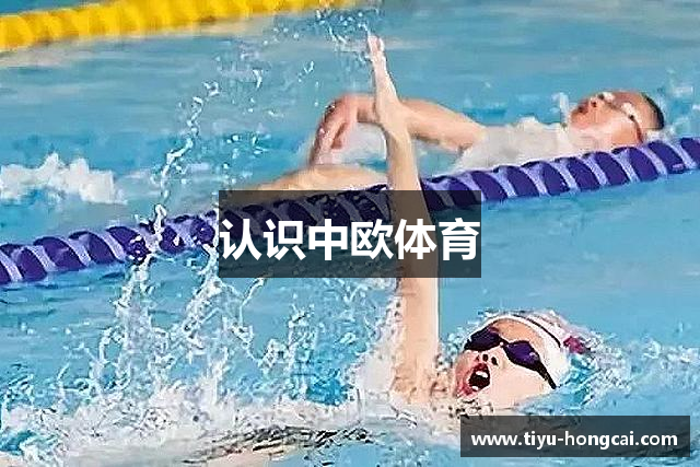 常见问题解答?